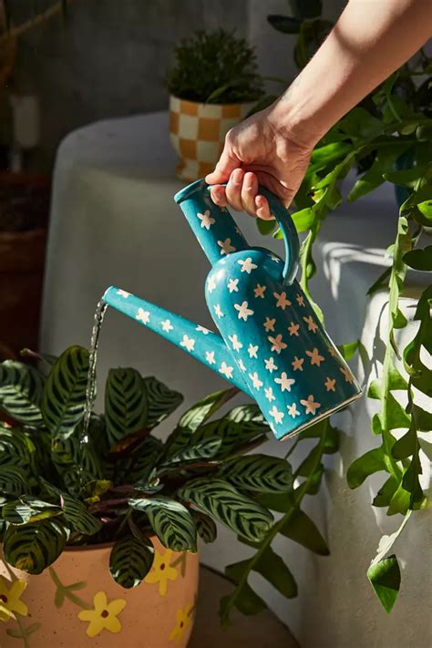 Daisy Watering Can Urban Outfitters