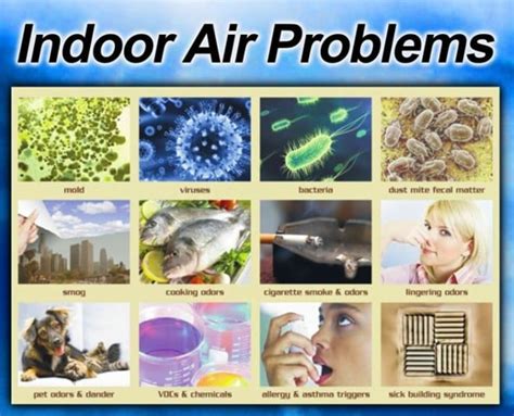 How Indoor Air Pollution Effects Our Health And Its Remedy