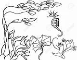 Seaweed Underwater Sea Sketch Horse Drawing Pencil Vector Coloring Getdrawings Colourbox sketch template