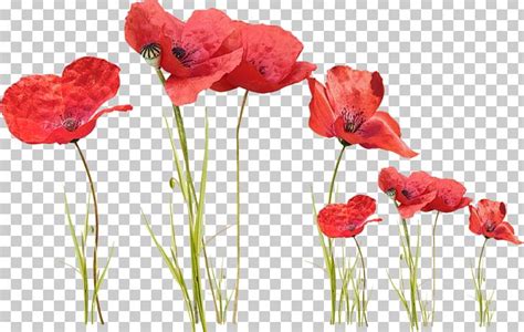 Check out our coquelicot selection for the very best in unique or custom, handmade pieces from our shops. Coquelicot Bouquet : Tableau Contemporain Bouquet De ...