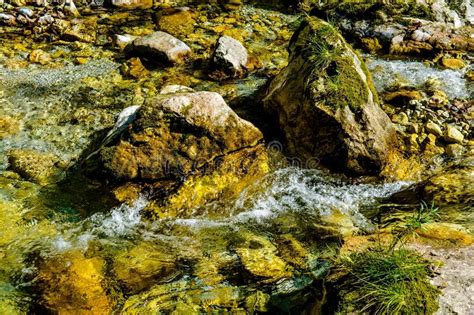 Creek With Fast Flowing Clear Water Stock Image Image Of River