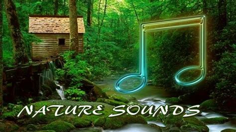 Фоновая инструментальная музыка и звуки природы для поднятия настроения ...