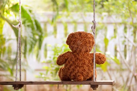 Teddy Bear On Swing Stock Photo Image Of Cute Concept 91107298