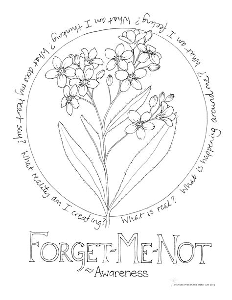 Forget Me Not Awareness Coloring Page My Soulflower
