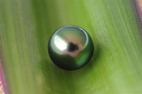 A Grade Tahitian Round Pearl