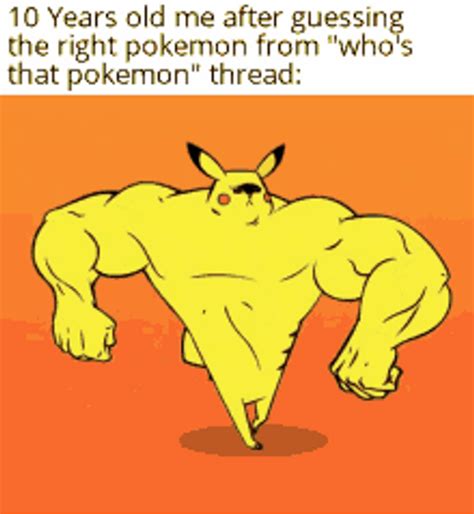 Pokemon Funny Anime Pikachu Whos That Pokemon Meme 