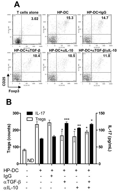 Neutralization of TGF β and IL 10 decreased Treg induction and