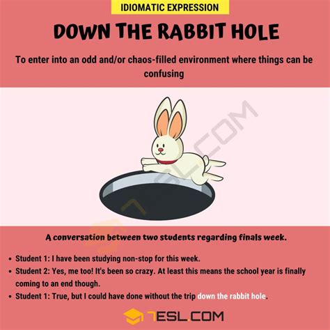 Down The Rabbit Hole Meaning With Helpful Examples 7esl