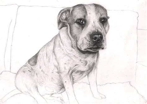 We focus on every detail like dog ears, nose, eyes and even postures. 'Gucci' dog drawing 50% WIP by Pen-Tacular-Artist on ...