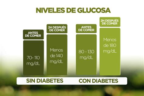 Normoglucemia ¿cuáles Son Los Valores Normales Blog De Insulclock