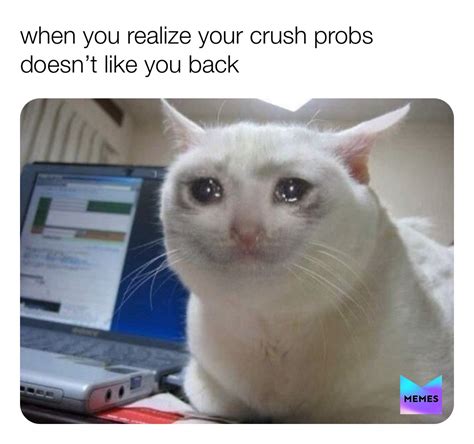 Funny Meme Pictures Pfp Imagesee