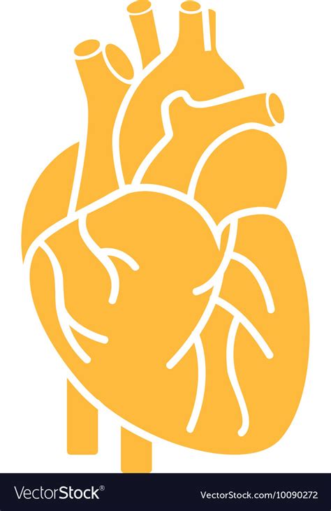 Heart Organ Human Isolated Icon Royalty Free Vector Image