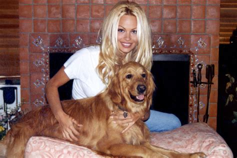 Pamela Anderson A Blonde S Revenge
