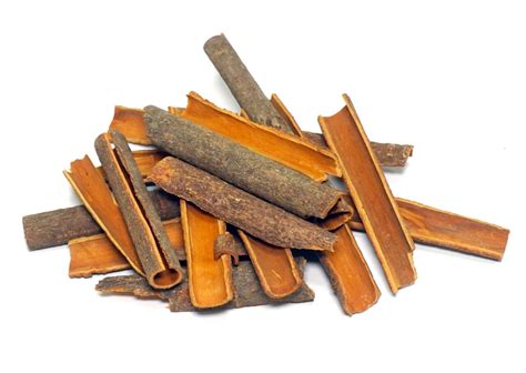 Organic Cinnamomum Zeylanicum Dalchini Cinnamon Bark Cultivator