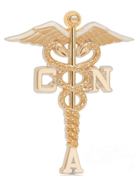 Certified Nursing Assistant Lapel Pin Charm Or Necklace In Etsyde