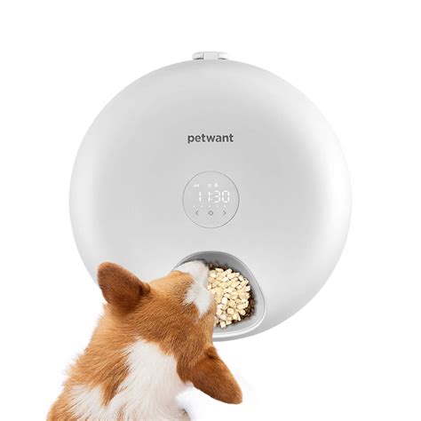 Petwant Petwant Inc New Arrival Smart Cat Dog Small Animals Bowls 6