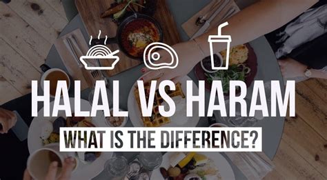 Halal Vs Haram What Is The Difference How To Identify Halal Food