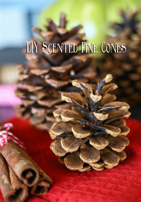 Pine Cone Crafts And Ideas What Meegan Makes