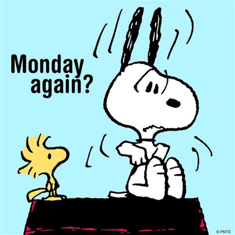 monday again monday pinterest mondays snoopy and charlie brown