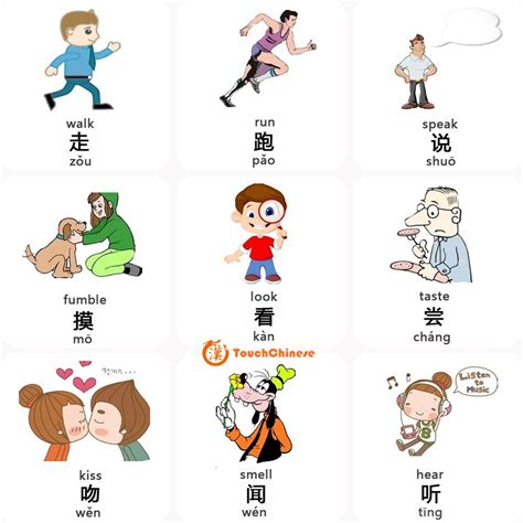 Mandarin Chinese Words List Verbs Touchchinese Chinese Words