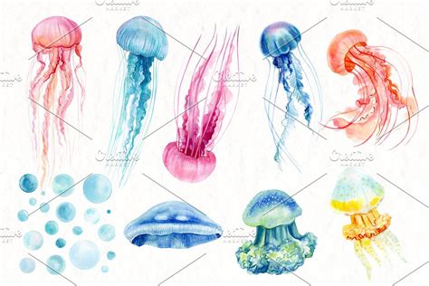 Watercolor Patterns Jellyfish Jellyfish Drawing Jellyfish Art