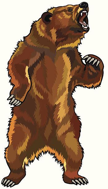 Angry Bear Illustrations Royalty Free Vector Graphics And Clip Art Istock