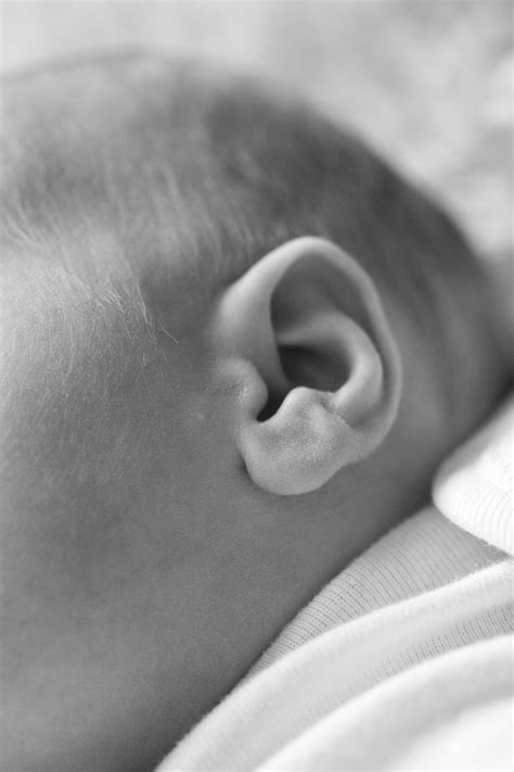 Baby Ear Photography Ear