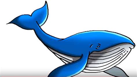 How To Draw A Whale Step By Step Easy Alter Playground