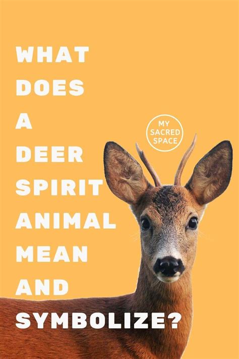 What Does A Deer Spirit Animal Mean And Symbolize My Sacred Space Design