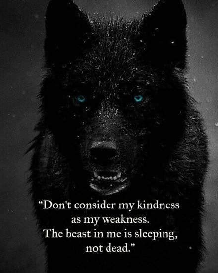 31 Inspirational Quotes With Wolves Richi Quote