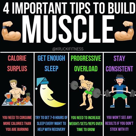 10 Rules For Building Muscles On Bulking Phase Build Muscle Muscle Building