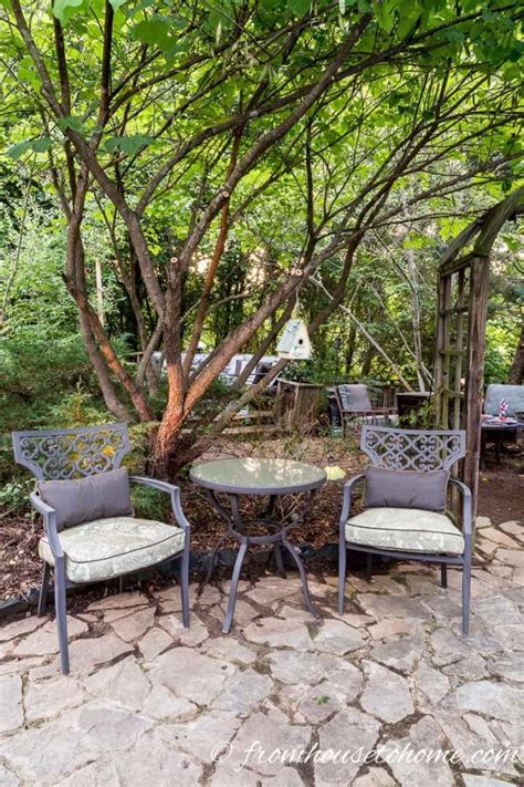 Best Backyard Trees To Provide Shade And Privacy For A Small Yard