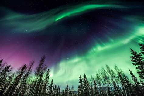 Aurora Boreale Dove Provare Le Migliori Esperienze Sotto Le Luci Del Nord
