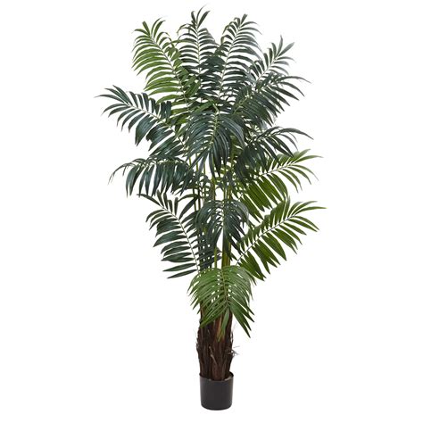 Keep it green sells areca palm trees at their retail nursery in apollo beach. 7'6" Bulb Areca Silk Palm Tree | Areca Palm Trees
