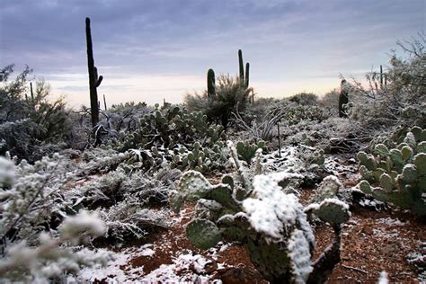 Tucson Winter Flickr Photo Sharing