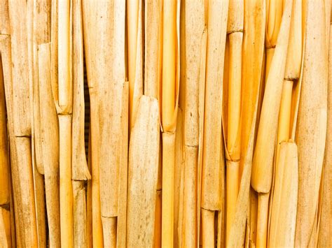 Dry Bamboo Pattern Free Stock Photo Public Domain Pictures