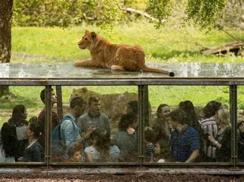 Investir Ou Mourir Les Zoos Dans Une Course Effrénée à Linnovation