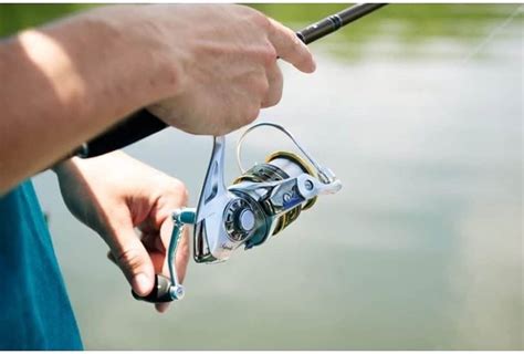 The 10 Best Spinning Reels Under 100 Complete Buying Guide