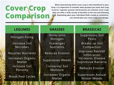 Considering Cover Crops In Grain Crop Production Weekly Crop Update