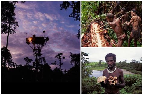 Los Korowai La Tribu Caníbal Que Se Come A Los Criminales Marcianos