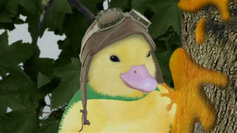 ‎save The Duckling Save The Kitten Wonder Pets On Apple Tv