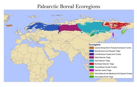Palearctic Ecoregions Global Forest Atlas