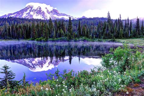 Mount Rainier National Park Wallpapers Wallpaper Cave