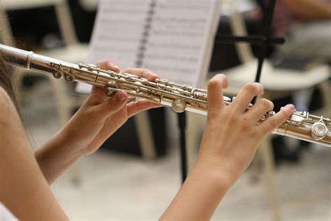 ᐈ Flauta Travesera【guía Práctica】historia Partes Cómo Tocar