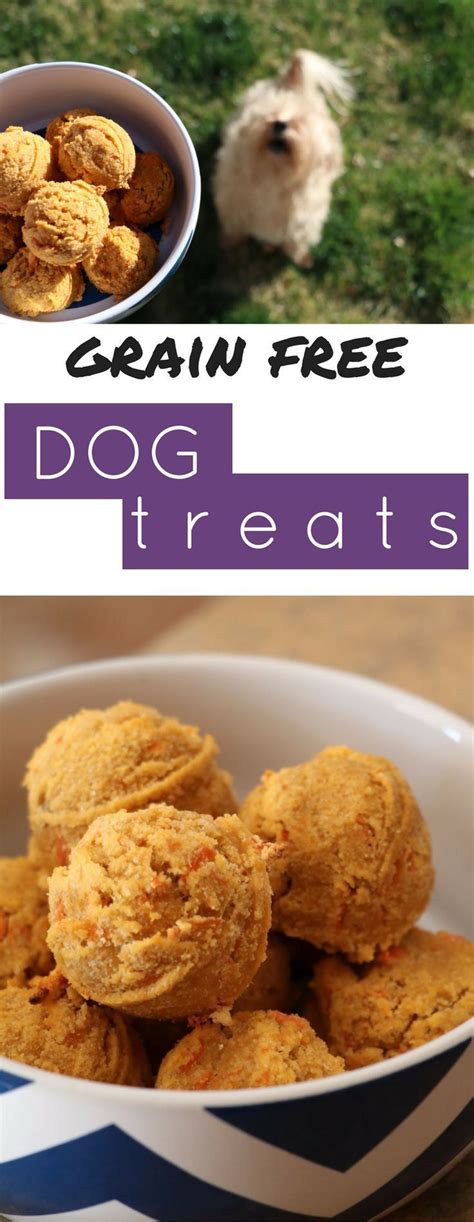 Making homemade dog food while using cooked dog food recipes (or raw dog food diet recipes) is not overly difficult, it is a process that requires a bit more exertion than flipping back a. Allergies can be tricky for dogs. These grain free dog ...