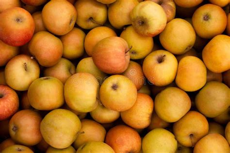 Apple Texture Fresh Ripe Red Apples As Backgroundapple Harvest Stock
