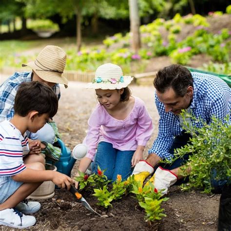 Maybe you don't think you were born with a green thumb, but after tilling, planting, nurturing and harvesting plants, you might see a slightly different person in the mirror: The Benefits and Importance of Gardening With Your Family ...
