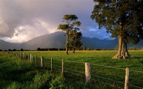 1920x1200 Nature Fence Trees Mountain Wallpaper Coolwallpapersme