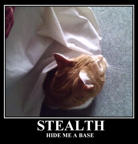 Stealth Hide Cat Meme Cat Planet Cat Planet