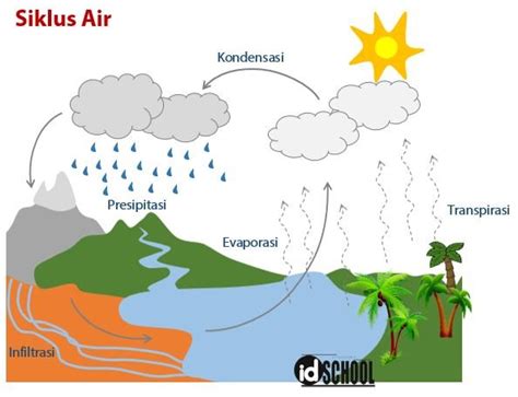 Proses Daur Air Siklus Airhidrologi Lengkap Images Images